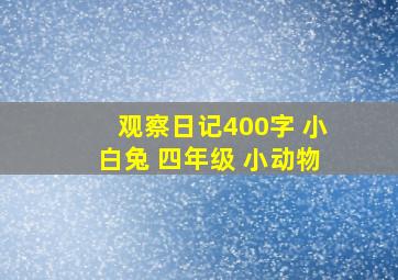 观察日记400字 小白兔 四年级 小动物